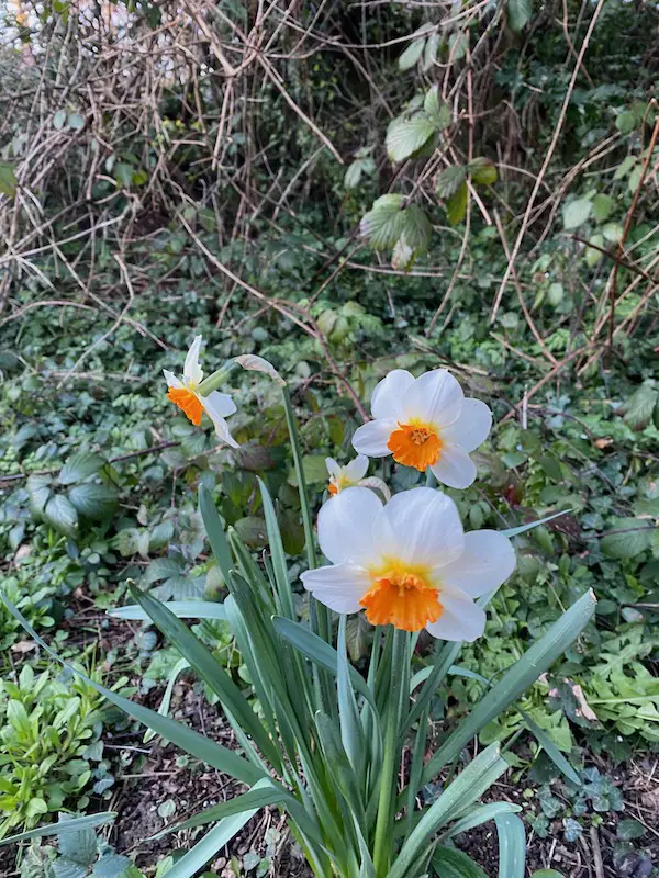 March life in the UK