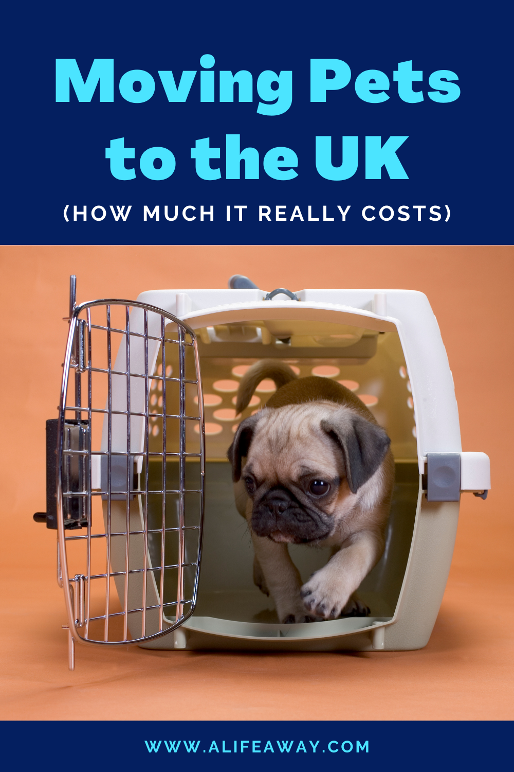 cost-of-moving-pets-to-the-uk-a-life-away