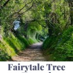 Fairytale Tree Tunnel
