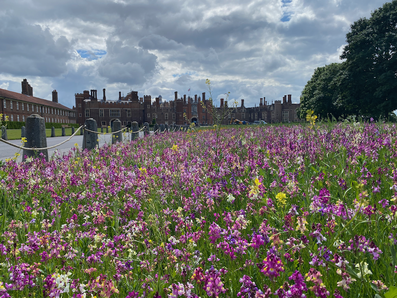 How many days to spend in London Hampton Court