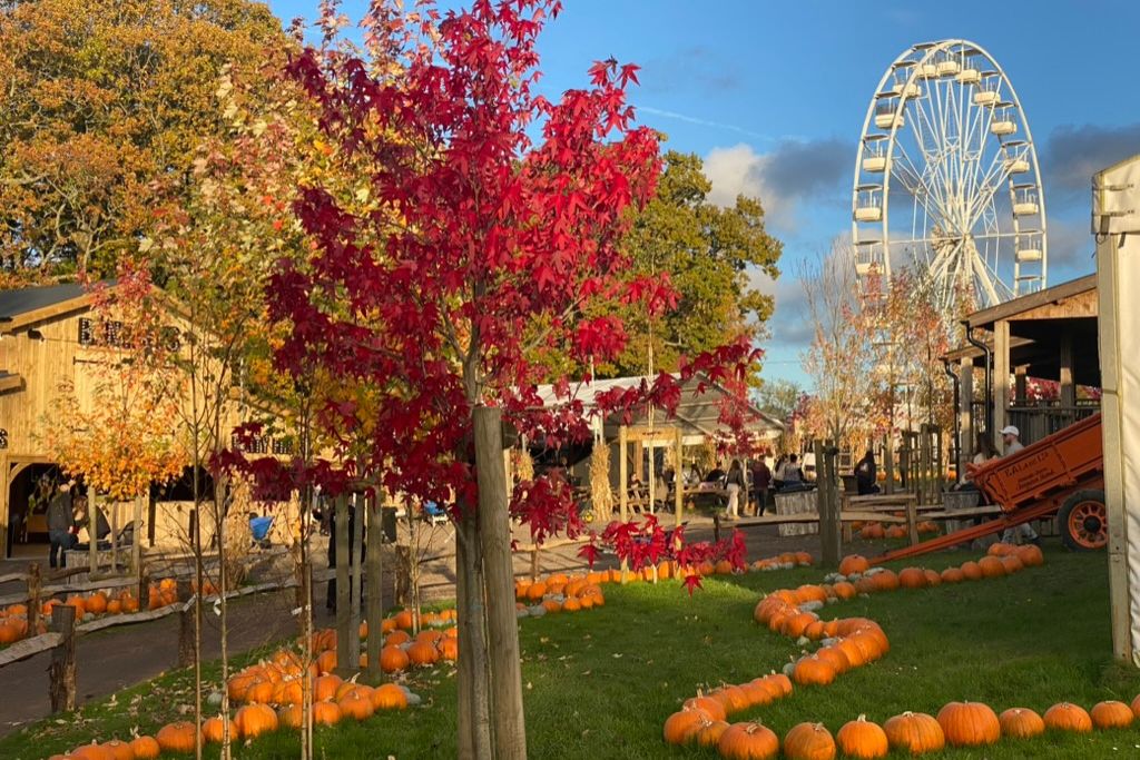 Tulley's Farm Pumpkin Patch in West Sussex England. Pumpkin patches are great for Americans adjusting to Halloween in the UK.