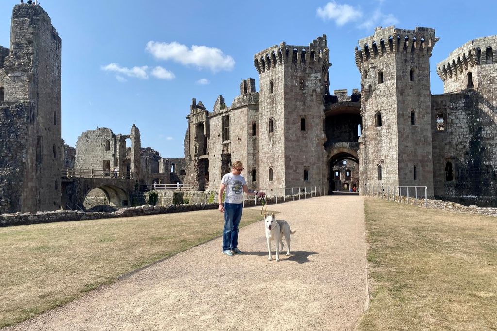 Dog in front of castle ruins in Wales. The UK is dog friendly and dogs are often allowed places they wouldn't be in the US.
