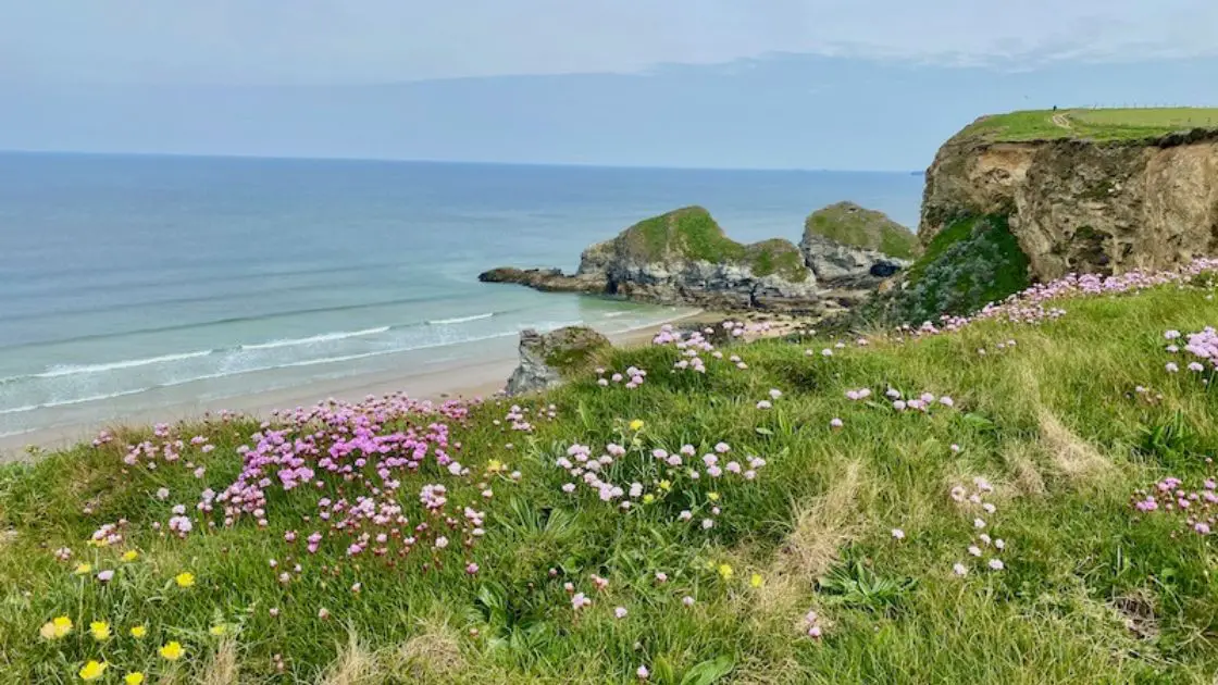 Best Time to Visit Cornwall Coast Path and Ocean