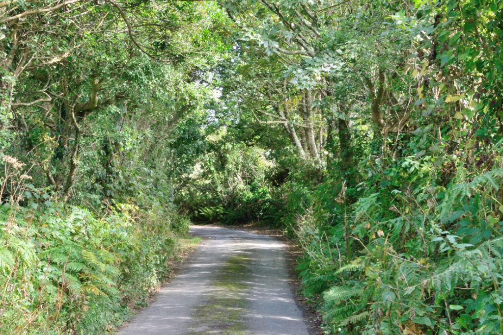 Single track road in Cornwall UK