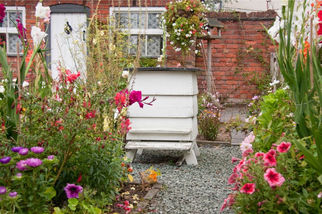 British garden