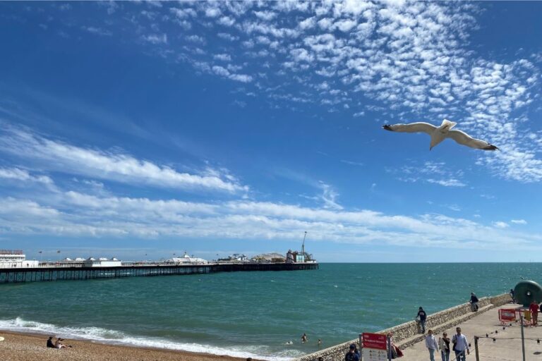 Brighton in a Day: Brilliant Brighton Day Trip From London