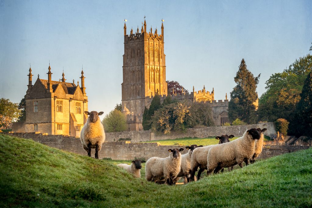 St. James' Church in Chipping Campden in the Cotswolds. Sheep on a grassy hill in the foreground.