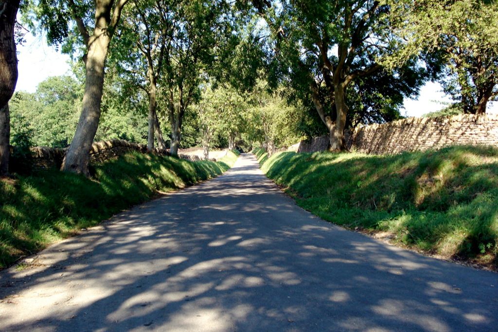 Road in the Cotswolds, overhung with trees and winding between stone fences.