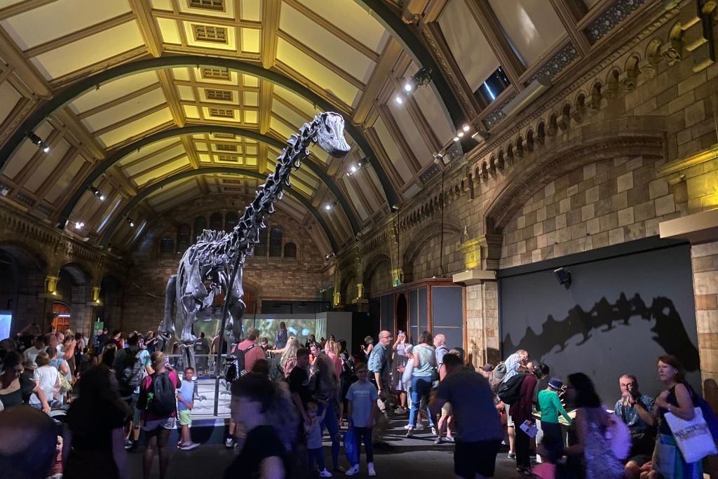 Dinosaur skeleton exhibit at the Natural History Museum in London